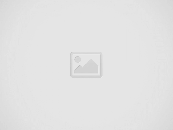 moins-300-salaries-dirrecte-csst-formation