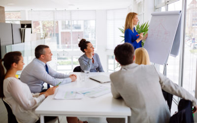 FORMATION Auditeur interne selon le référentiel MASE